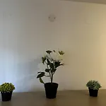 Borealis شقة
