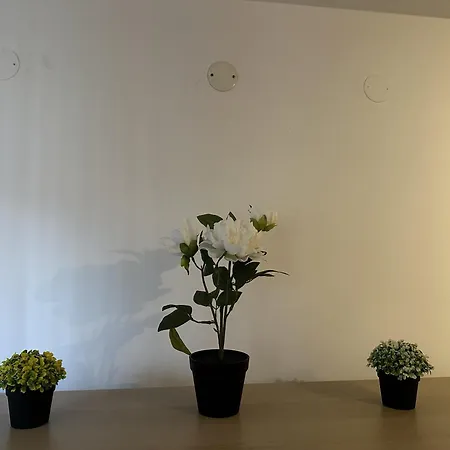 Borealis Apartman