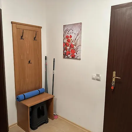 Апартамент Borealis Банско